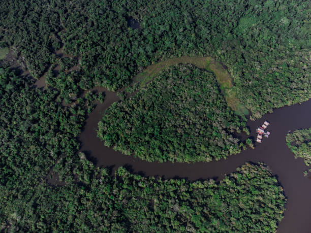 istock Drone photography of the Amazon River. 1397705978