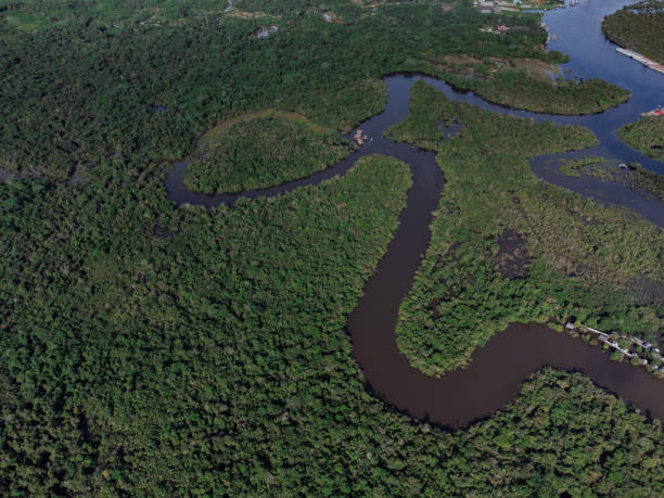 istock Drone photography of the Amazon River. 1397705979