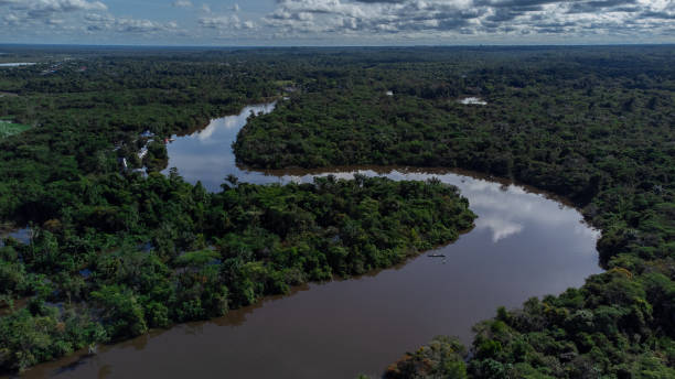 istock Drone photography of the Amazon River. 1397705991