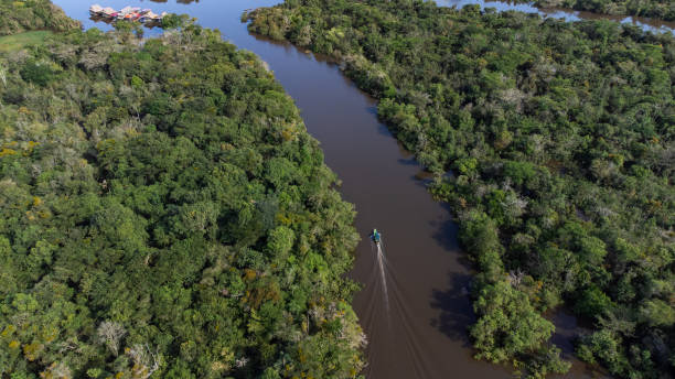 istock Boat traveling the Amazon River. 1397706009