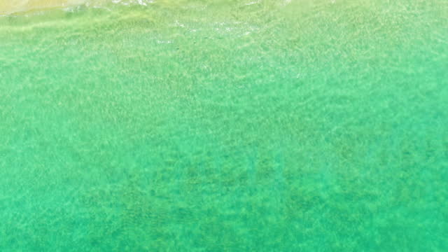 Top view landscape sea water emerald green waves water smooth fantastic coastline sunny . White sand beach . Miami. Florida.