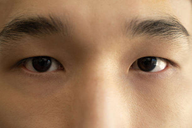 istock Eyes of young Asian man with dark brown iris and eyebrows 1397710243