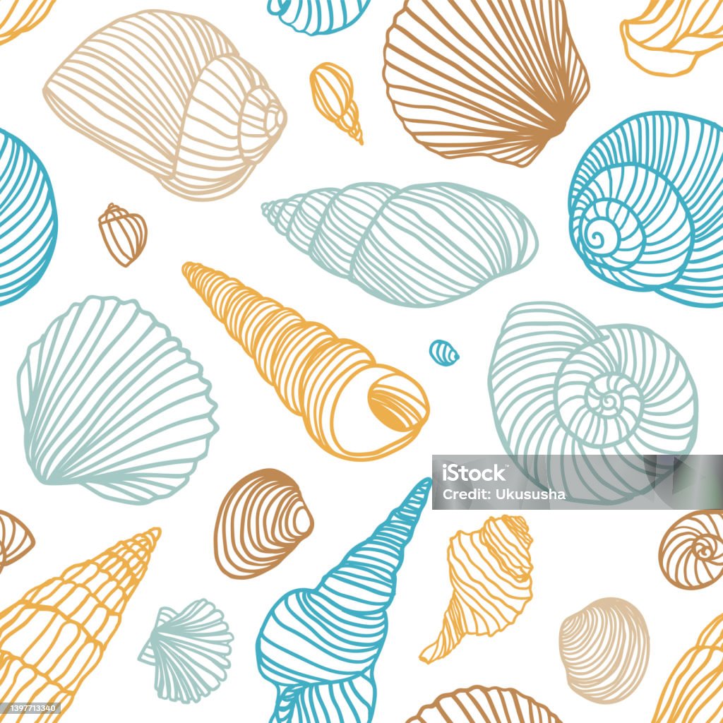 Seamless Pattern Of Shells Stock Illustration - Download Image Now ...
