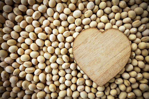 Dried soybean background