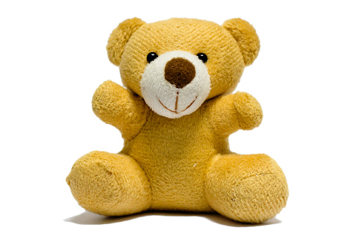teddy bear isolated on white background.