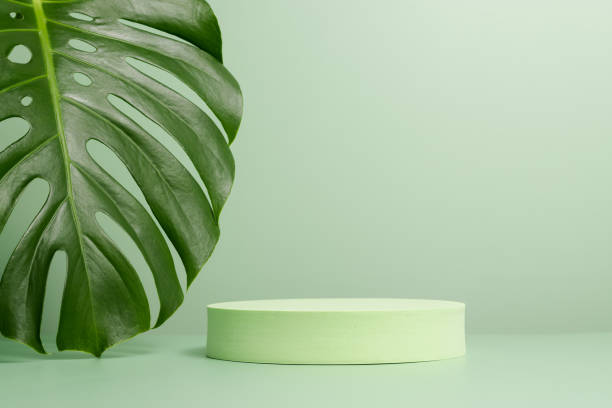 istock Round cylinder green podium with monstera leaf 1397715363