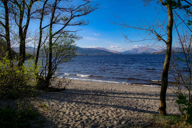 スコットランドのハイランド地方のローモンド湖とトロサックスの海岸の春、2022年4月 - loch lomond loch ben lomond scotland ストックフォトと画像