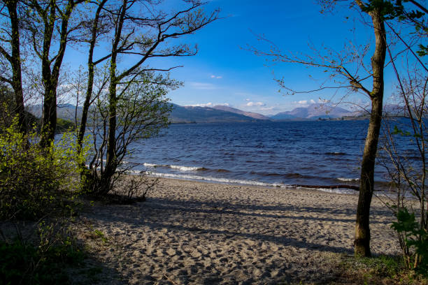 springtime on the shores of loch lomond and the trossachs in the highlands of scotland, april 2022 - loch lomond loch ben lomond scotland imagens e fotografias de stock