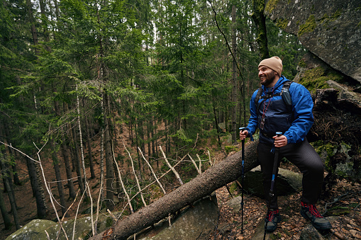 Happy man Nordic walking athlete moving next to fallen tree in forest during hiking
