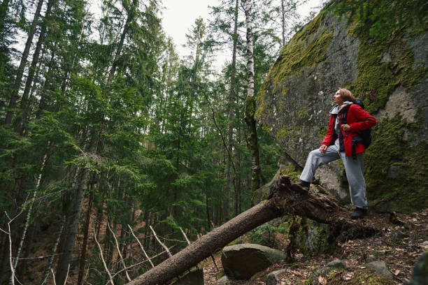 istock Female hiker with foot on fallen tree exploring nature 1397721128