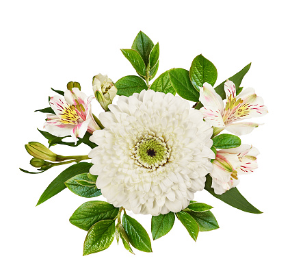 White flowers of gerbera and alstroemeria with green decorative leaves in a floral arrangement isolated on white