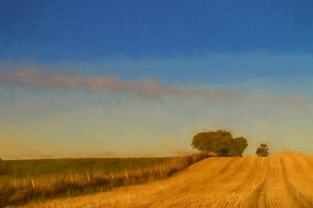 Digital painting of trees on the horizon of a wheat field that has been cut. Digital painting of trees on the horizon of a wheat field that has been cut at harvest time. wheat ranch stock pictures, royalty-free photos & images