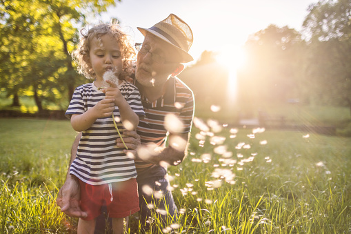 Photo of a little boy and his grandfather enjoying in nature. They are blowing dandelion