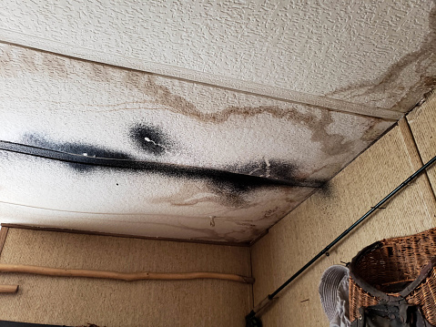 Mold damage on ceiling tile