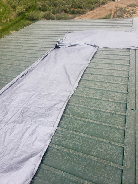 istock Tarped metal roof after damage 1397732669