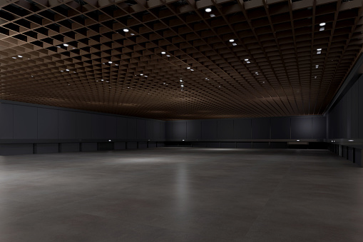 Empty hall exhibition centre.The backdrop for exhibition stands, booth,market,trade show.Conversation for activity,meeting.Arena for entertainment,event,sports.Indoor for Factory,showroom.3d render.