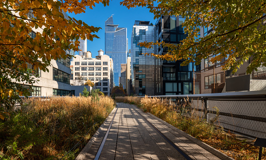 New York view of The High Line promenade . Elevated greenway in Autumn with Hudson yards skyscrapers. Chelsea, Manhattan