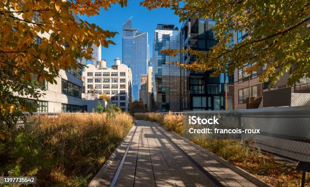 New York View Of The High Line Promenade In Fall Elevated Greenway With Hudson Yards Skyscrapers Manhattan Stock Photo - Download Image Now