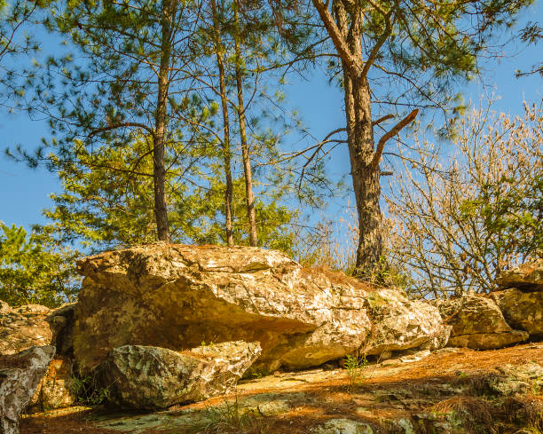 istock Bartolome Hidalgo Park, Flores, Uruguay 1397737717