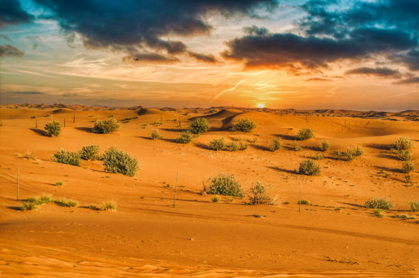 istock Dubai desert landscape during sunset. 1397737786