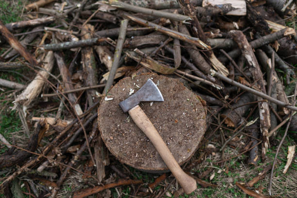 istock Ax on a stump near chopped firewood. Top view 1397739412