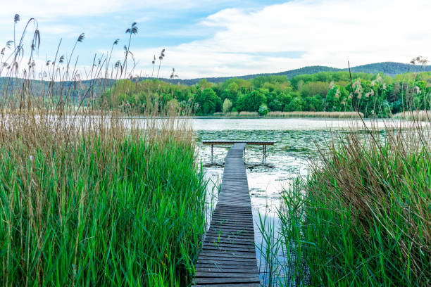 istock Summer walk at Breitungen Lake in glorious sunshine 1397745362