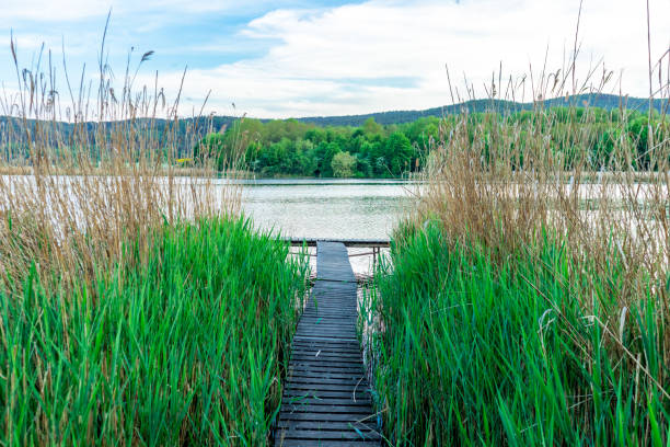 istock Summer walk at Breitungen Lake in glorious sunshine 1397746248