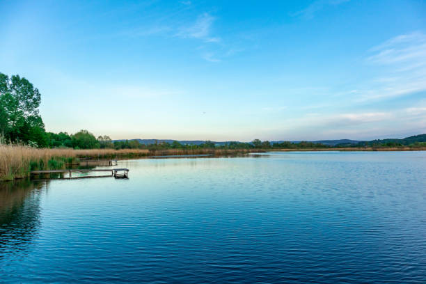 Summer walk at Breitungen Lake in glorious sunshine - Thuringia - Germany