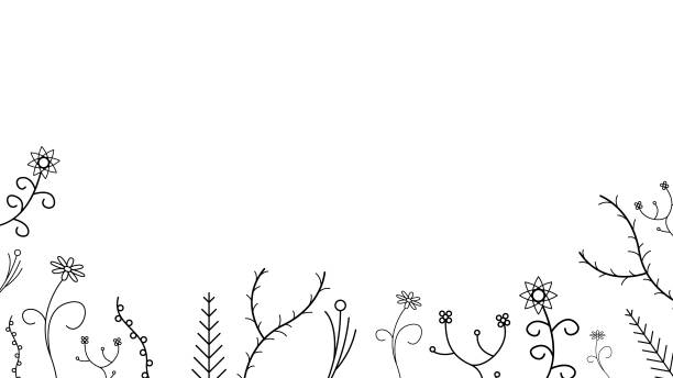 illustrations, cliparts, dessins animés et icônes de abstract doodle background nature summer elements hand drawn collection botanique herbal flora leaf branch vine flower plant elements vector desgin style - cute decoration invitation vine