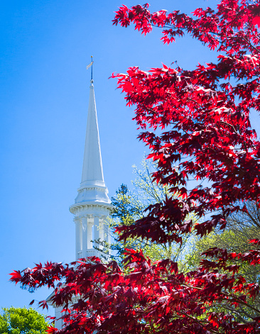 Springtime color of a red maple tree frames the Christopher Wren inspired steeple of the historic First Church (1848) in Sandwich, Massachusetts.