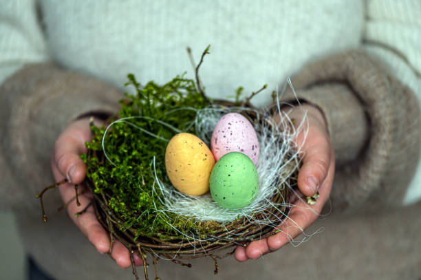 istock woman hands holding painted easter eggs in a small bird nest 1397748123