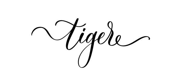 istock Tiger calligraphy inscription. Hand lettering phrase for package design, card, banner, photo overlay, logo. 1397752404
