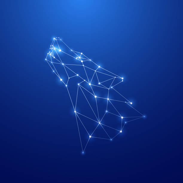 istock Geometric howling Wolf. Head of wild wolf in the form of constellation on blue background. Stock vector illustration. 1397753647