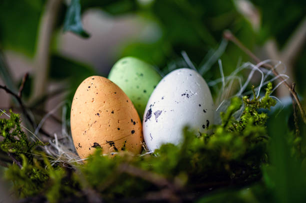 istock bird  nest with colored Easter eggs on branches of green trees, easter decoration, selective focus 1397756082