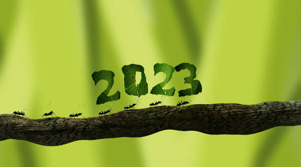 istock ants carrying the number 2023 - 3d render 1397760175