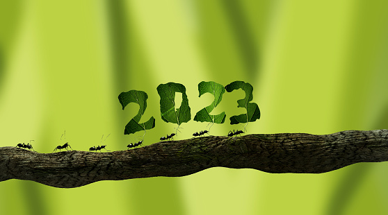 ants carrying the number 2023 - 3d render