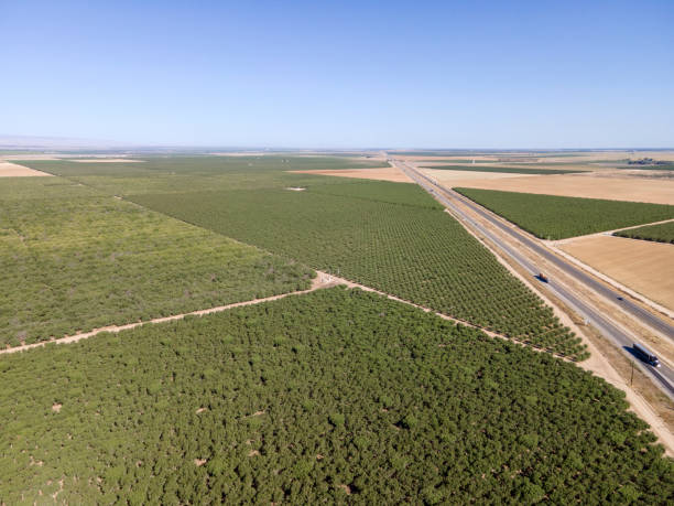 istock Central California agricultural land 1397761075
