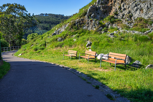 Benches for relaxing on footpaths in a public park