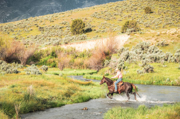 Side profile of a man crossing an idyllic stream in rural Utah, USA.