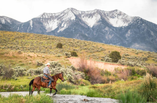 istock Rancher crossing a river on horseback 1397762792