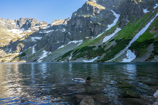 Black Pond Gasienicowy in the High Tatra Mountains.