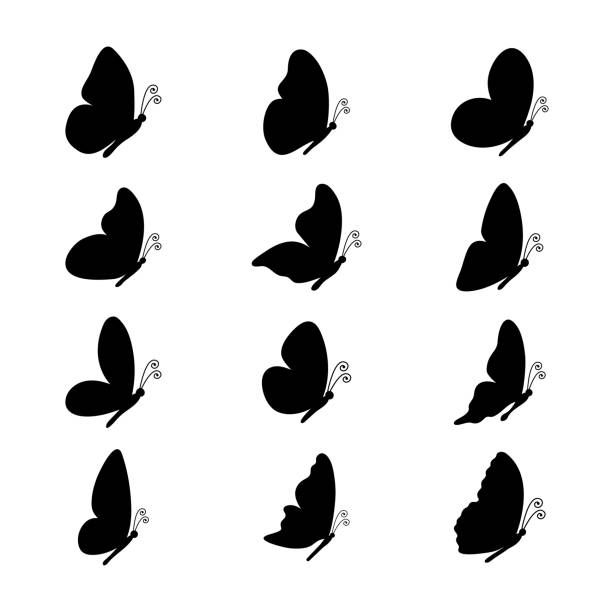 Butterfly silhouettes set. Side view. Butterfly silhouettes set. Various butterflies shapes collection. Side view. Vector illustration isolated on white. butterfly tattoo stencil stock illustrations