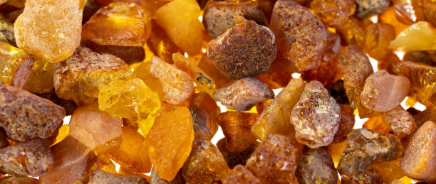 istock Baltic amber with visible details. background or textura 1397765810