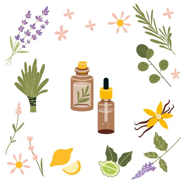 Vector illustration of Brown glass bottle and popular essential oil plants, cartoon style. Concept of nature aromatherapy. Trendy modern vector illustration isolated on white background, hand drawn