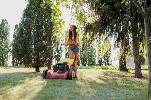 A lawn mower is cutting green grass, the gardener with a lawn mower is working in the backyard, a side view.