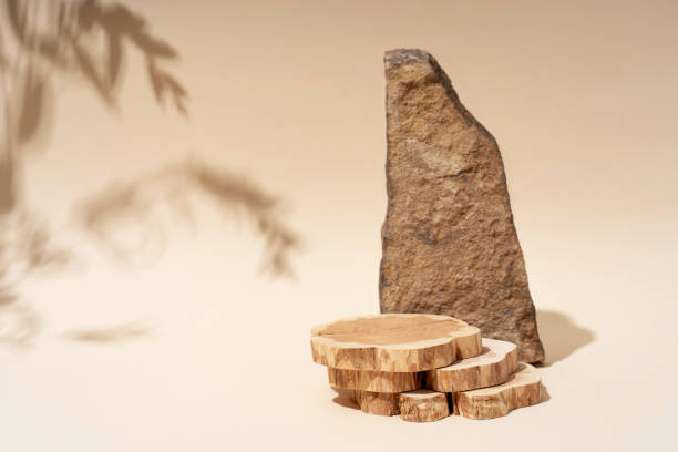istock Composition empty podium material tree stone dry flowers. Product presentation. Background beige. Beautiful background from natural materials. 1397768276