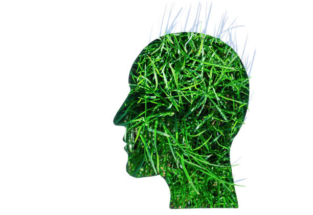 istock Grass blades seen through a head shaped cut-out 1397769145