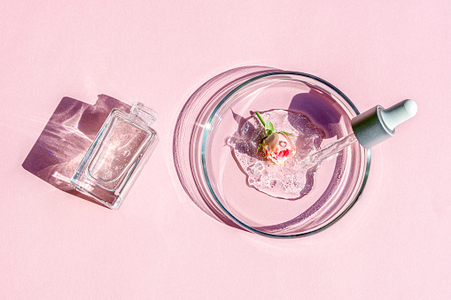 Flat lay of cosmetics serum and and laboratory glassware with fresh flover of rose on bright pink background. Organic cosmetics. Top view flat lay, copy space. Cosmetics, SPA branding, mock-up.