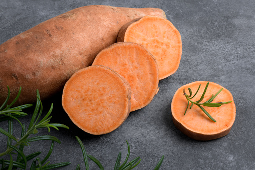 Raw whole orange sweet potato and slices of batatas with fresh rosemary on grey concrete background, close up