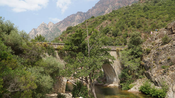 Old genovese stone bridge over the River Porto near Ota Village on Corsica Island in France. stock photo